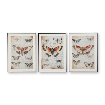 Signature Design by Ashley Jossletts A8000490 Wall Art Set - American Furniture of Slidell