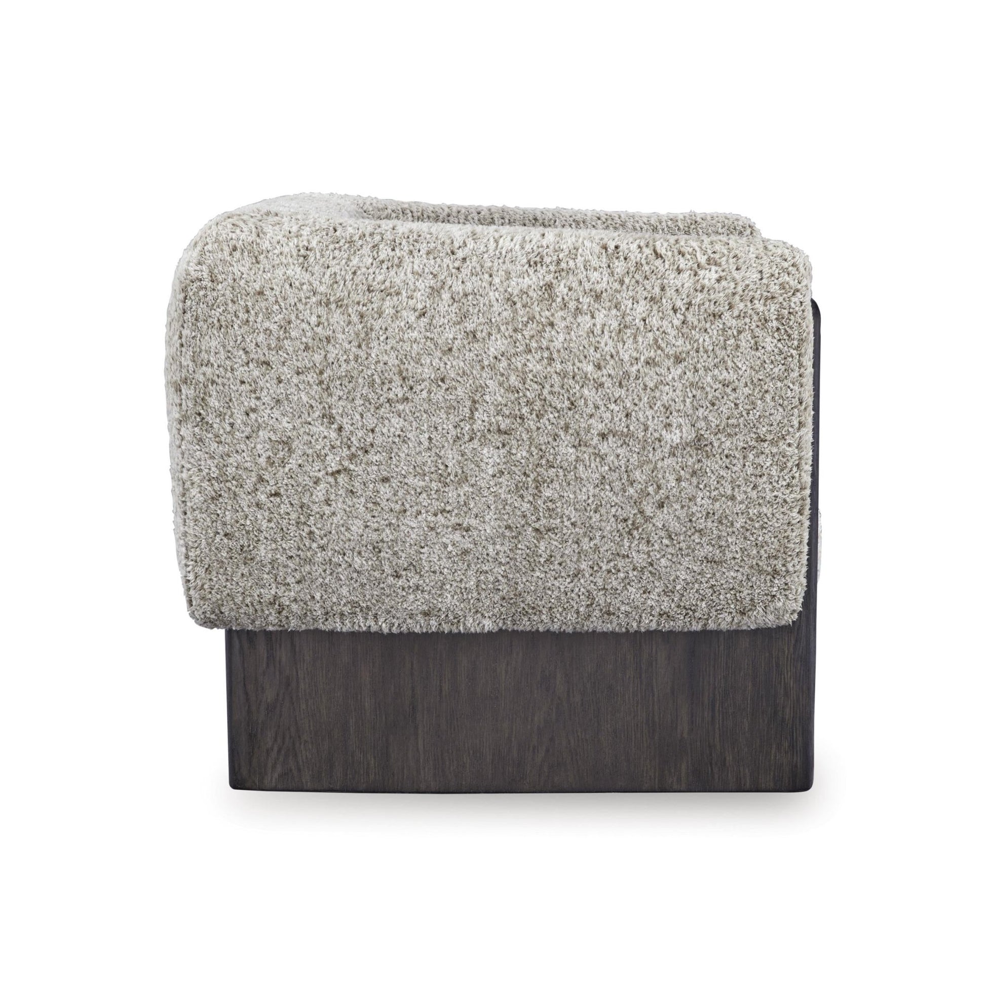 Signature Design by Ashley Olethea Stationary Accent Chair A3000808 - American Furniture of Slidell